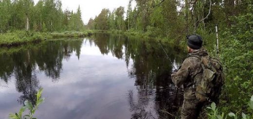 Рыбалка в таежной глуши