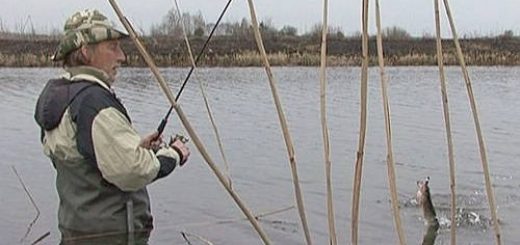 Рыбалка на реке Здвиж