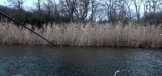 Рыбалка в декабре на поплавок