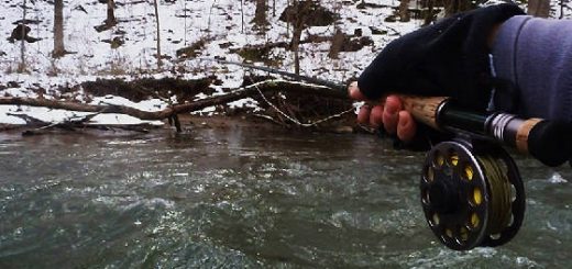 РЫБАЛКА В ДЕКАБРЕ НА УДОЧКУ В КАМЫША