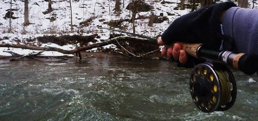 РЫБАЛКА В ДЕКАБРЕ НА УДОЧКУ В КАМЫША