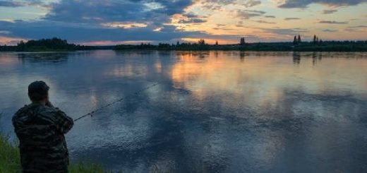 Рыбалка в Татарстане на реке Свияга