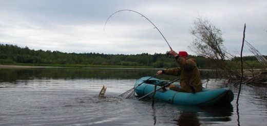 Поиск рыбных мест