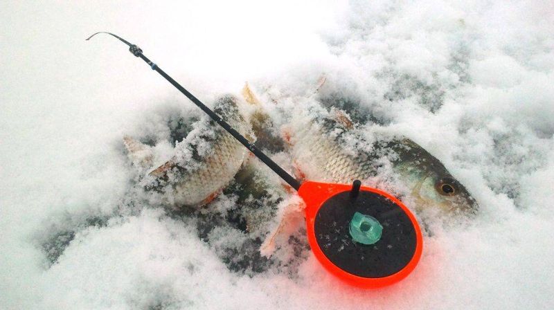 Выбор удочки и приманки для зимней рыбалки