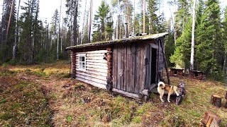 Как испечь оладьи в тайге