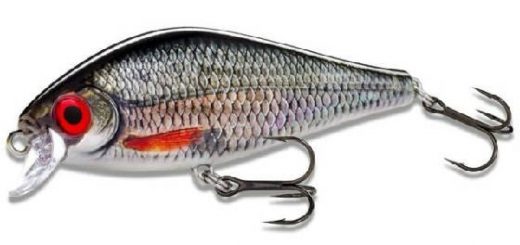 Rapala predator bait