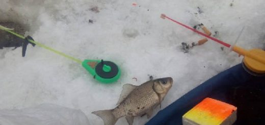 Зимняя рыбалка на болоте