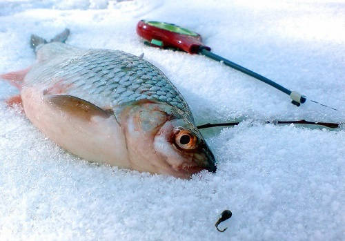 Рыбалка на мормышку зимой в мороз