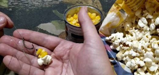 Реакция рыбы на Попкорн