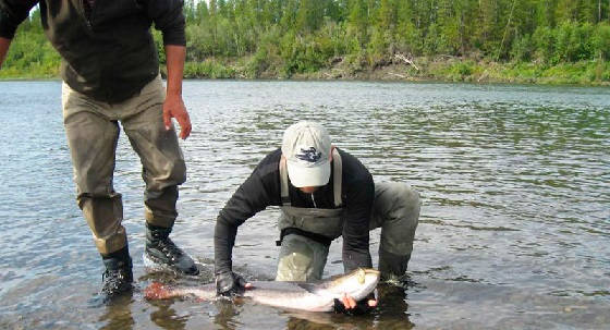 Рыбалка в Якутии на тайменя