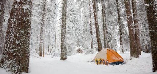 Снежный кемпинг в лесу