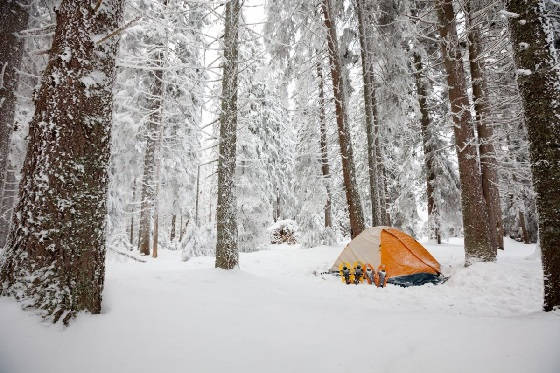 Снежный кемпинг в лесу