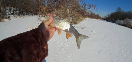 Рыбалка в середине марта на речке Медведица