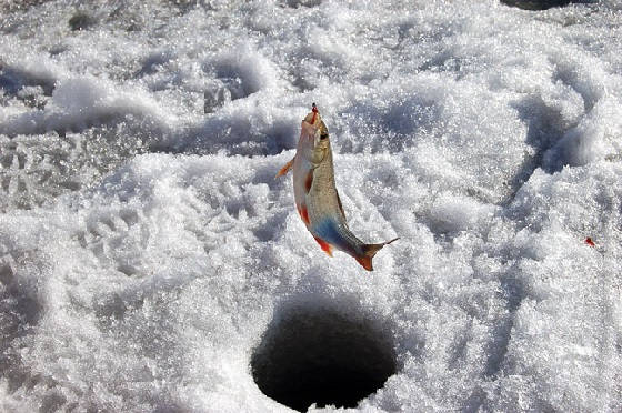 Рыбалка в марте на реке Свияга