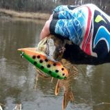 Тактика ловли щуки весной на реке