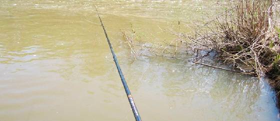 Рыбалка в апреле по мутной воде