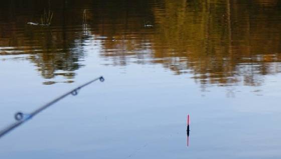 Рыбалка на поплавок на речке в холодную погоду