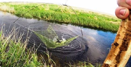 Рыбалка на паук с подводной камерой в микроречке