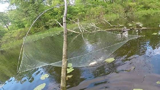 Рыбалка на паук с берега