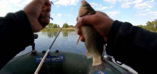 Рыбалка на поплавок в зарослях Днепра
