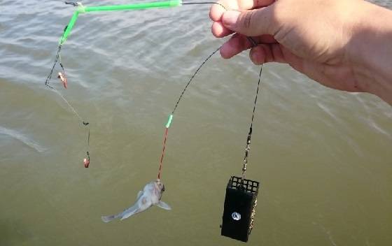 Как сделать рыболовную снасть для донной рыбалки