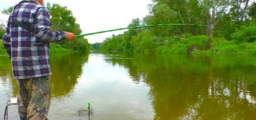 Рыбалка в середине июня