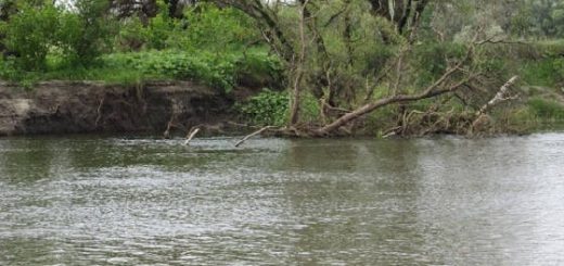 Хитрая проводка В Жару по Щуке