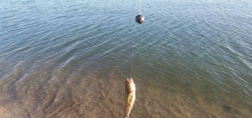 РЫБАЛКА на Иваньковском Водохранилище