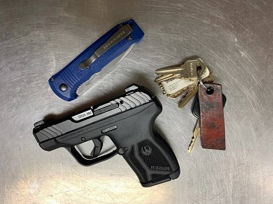 Ruger LCP MAX .380