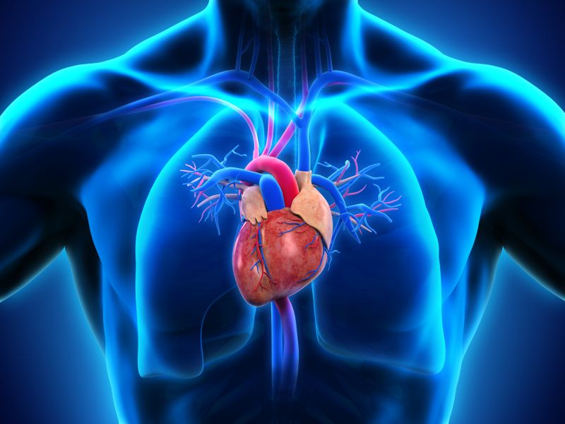 Протезирование клапанов сердца