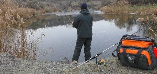 Наноджиг на заливах реки Псёл