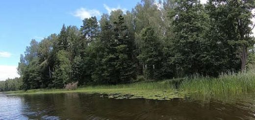 Принципы ловли на поплавочное удилище с лодки в камышах