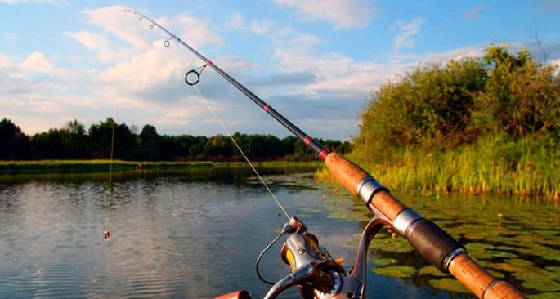 Спиннинг в августе часто приносит улов