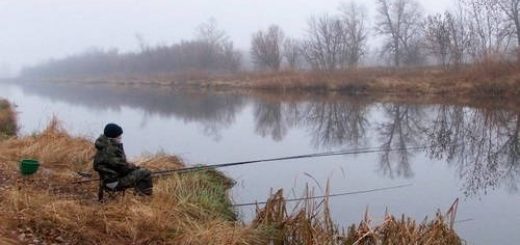 в поисках щуки и окуня на Северной Двине