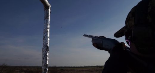 Крупные номера дроби по тарелкам