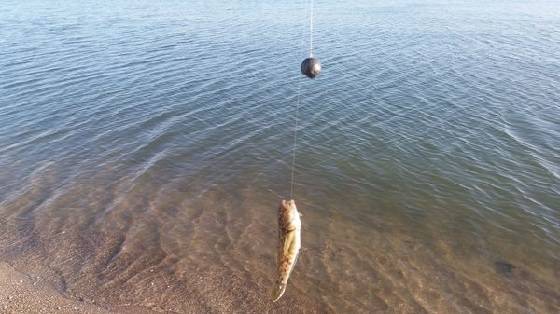 Знакомство с рекой Берёзовой