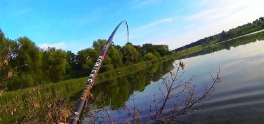 Daiwa Laguna LT