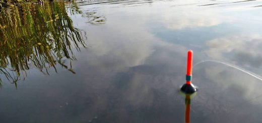 Рыбалка на поплавок в середине сентября