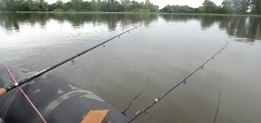Ловля рыбы на поплавок Матчем