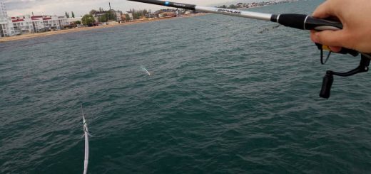 Ловля саргана и ставриды на поплавок в Чёрном море