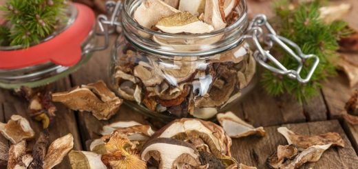 Сушёные грибы: назначение, польза