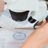 Экспертиза документов