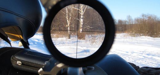 Оптика для охоты: назначение, как выбрать