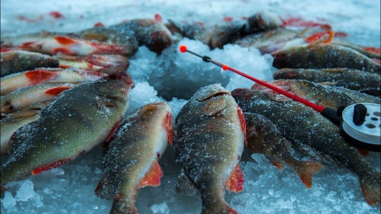 Зимняя рыбалка в Екатеринбурге