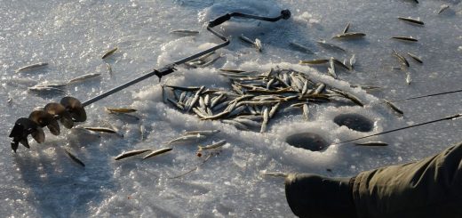 Зимняя рыбалка во Владивостоке