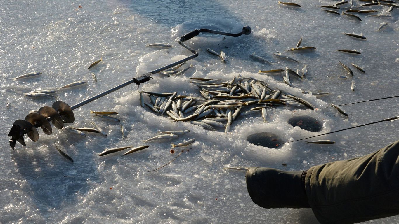 Зимняя рыбалка во Владивостоке