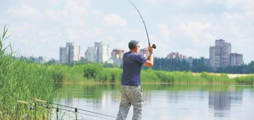 Рыбалка в Воронеже