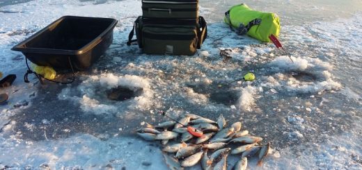 Зимняя рыбалка в Воронеже