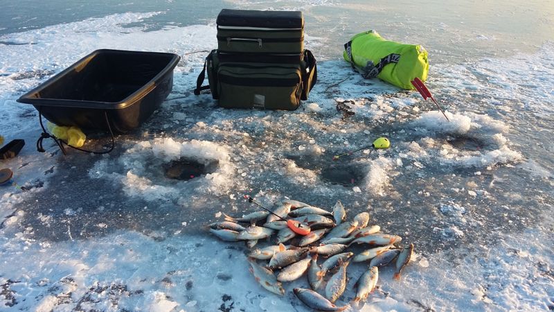 Зимняя рыбалка в Воронеже
