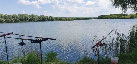 Рыбалка в Иваново